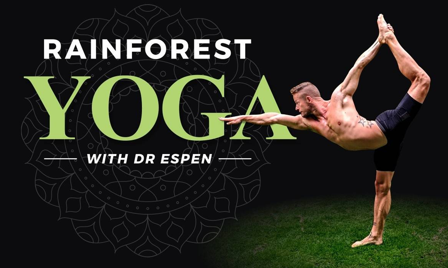 Yoga-rainforest